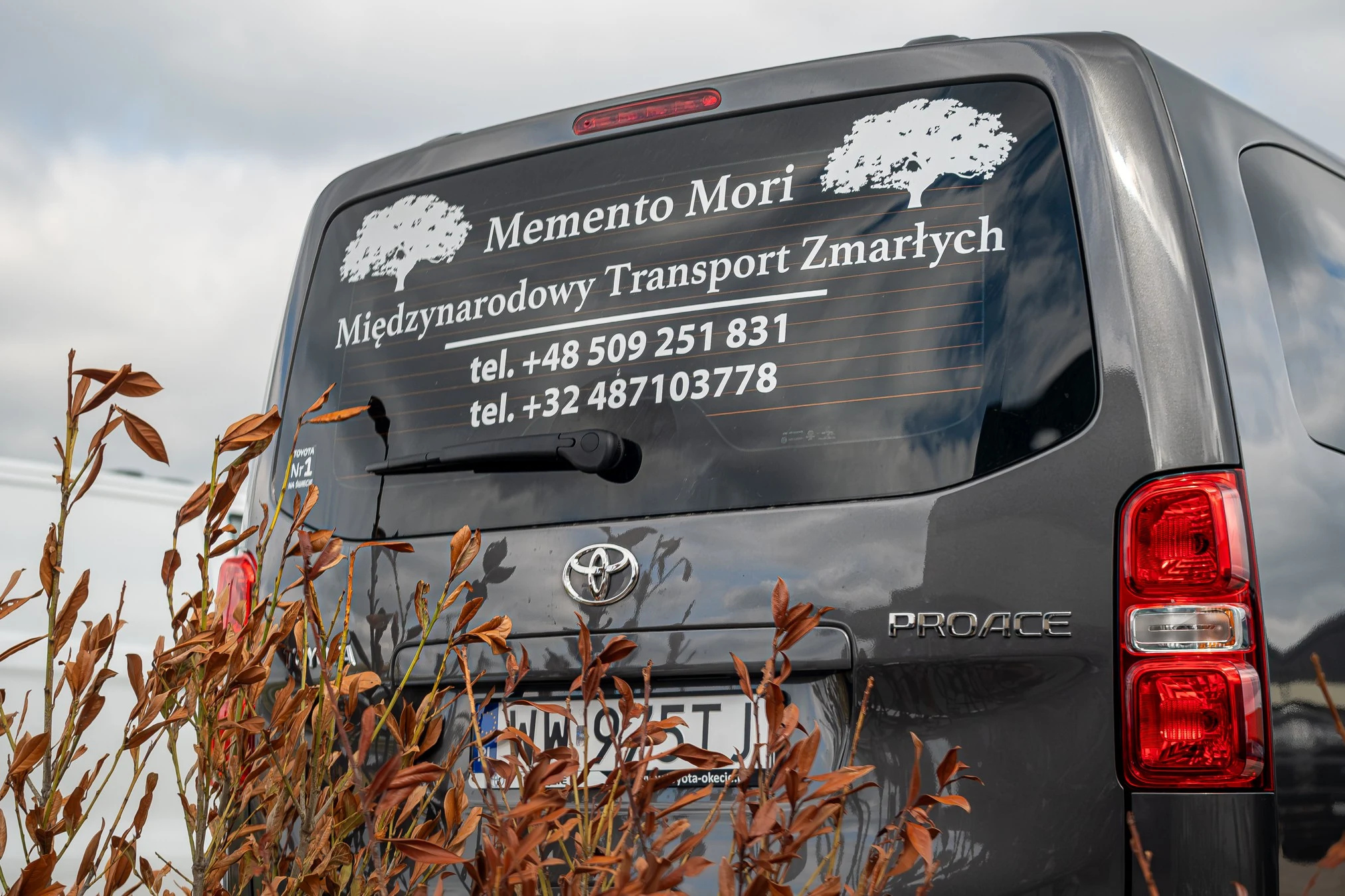 Fotografia wykonana dla Memento Mori — kadr 07
