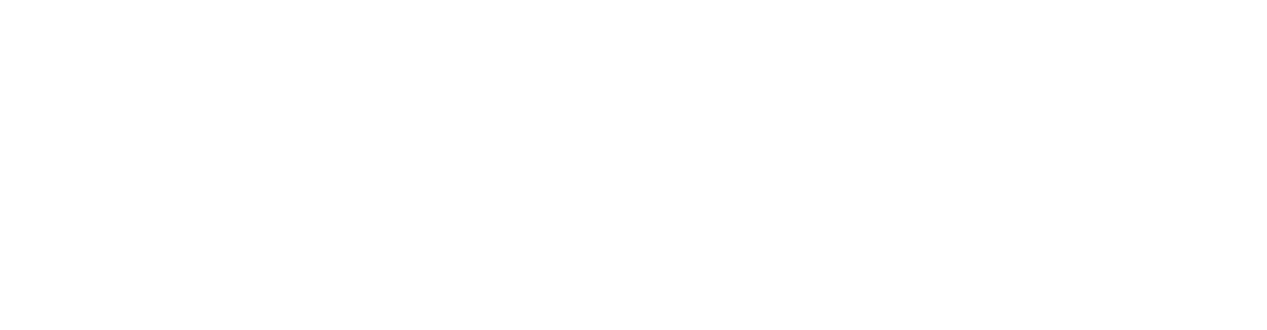 Motozbyt — Dacia