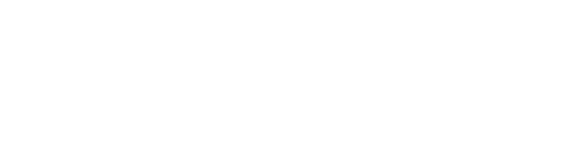 Fly Away Plus