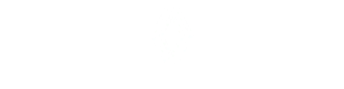 Motozbyt — Renault